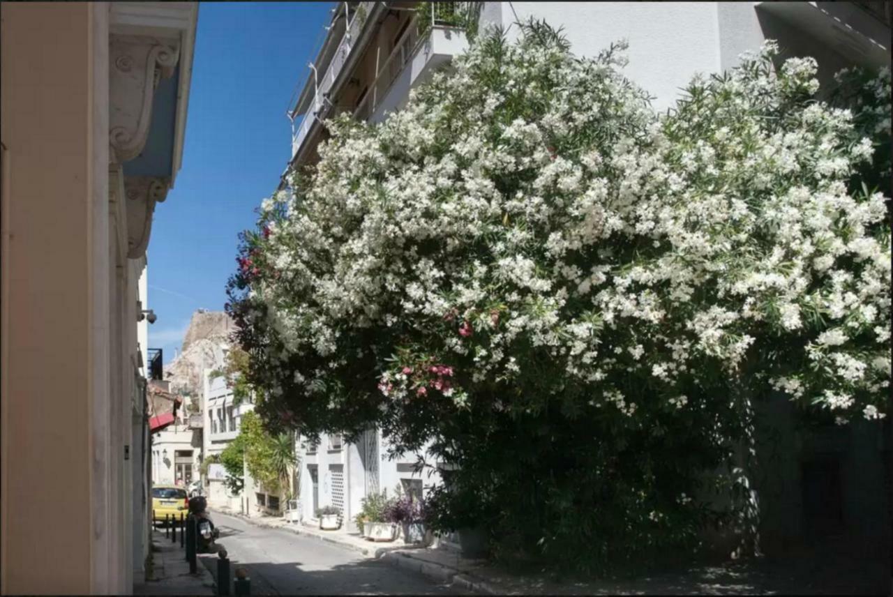 Vintage Charm By The Acropolis! Apartment Athens Ngoại thất bức ảnh